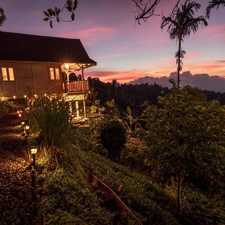 Garden Terrace Bali Panzió Gobleg  Kültér fotó