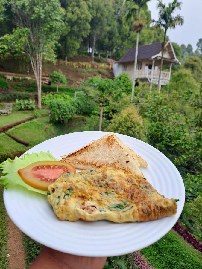 Garden Terrace Bali Panzió Gobleg  Kültér fotó