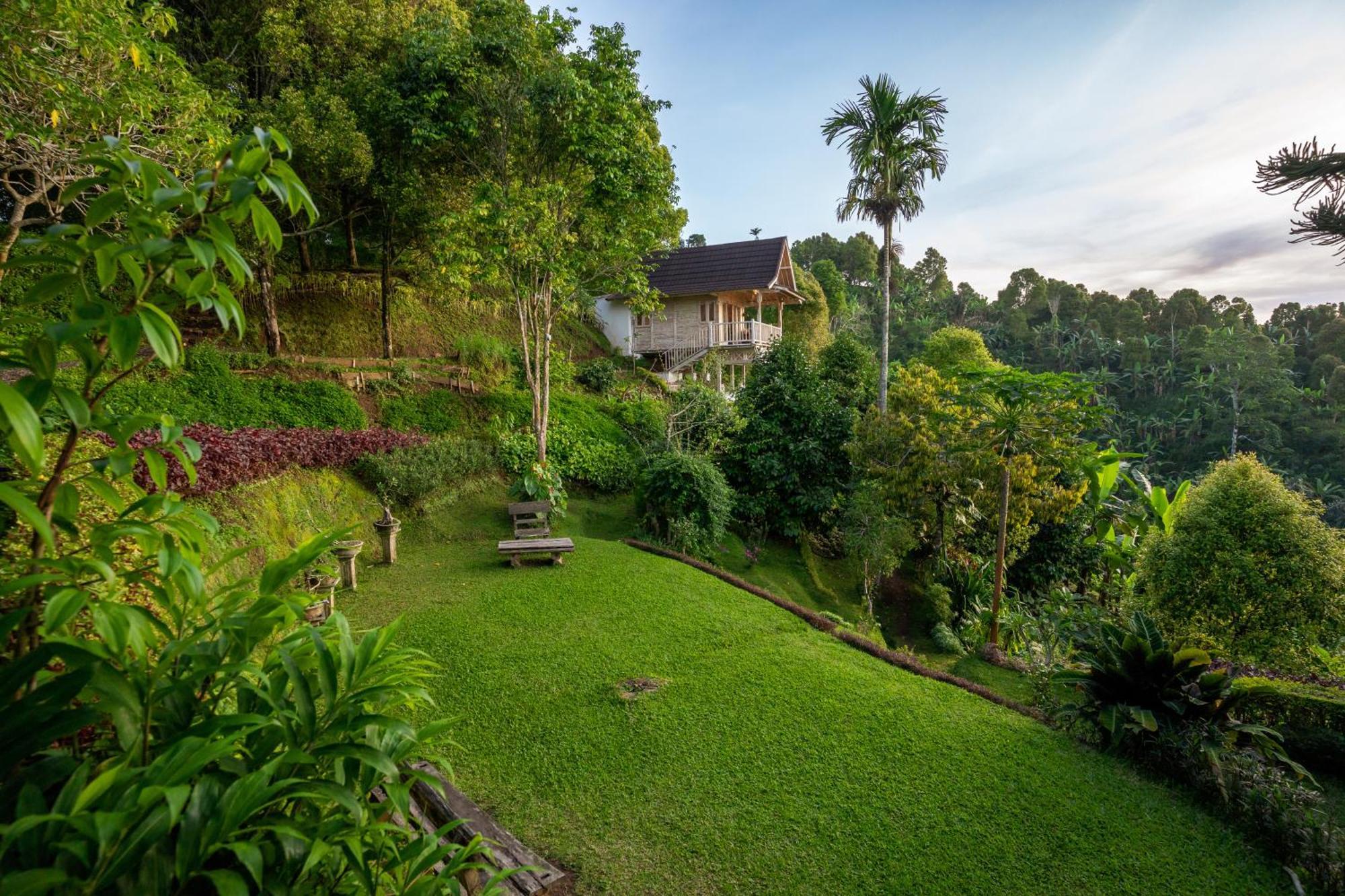 Garden Terrace Bali Panzió Gobleg  Kültér fotó