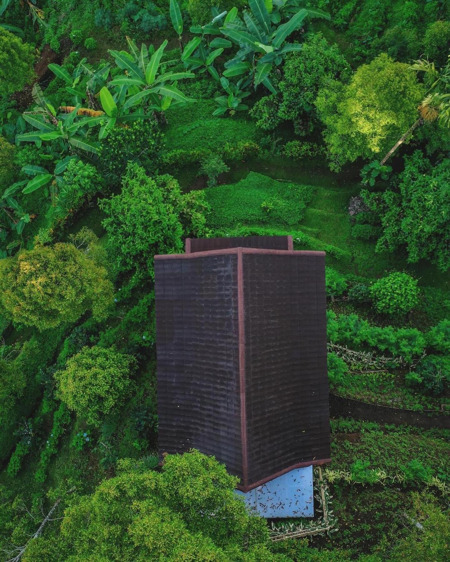 Garden Terrace Bali Panzió Gobleg  Kültér fotó