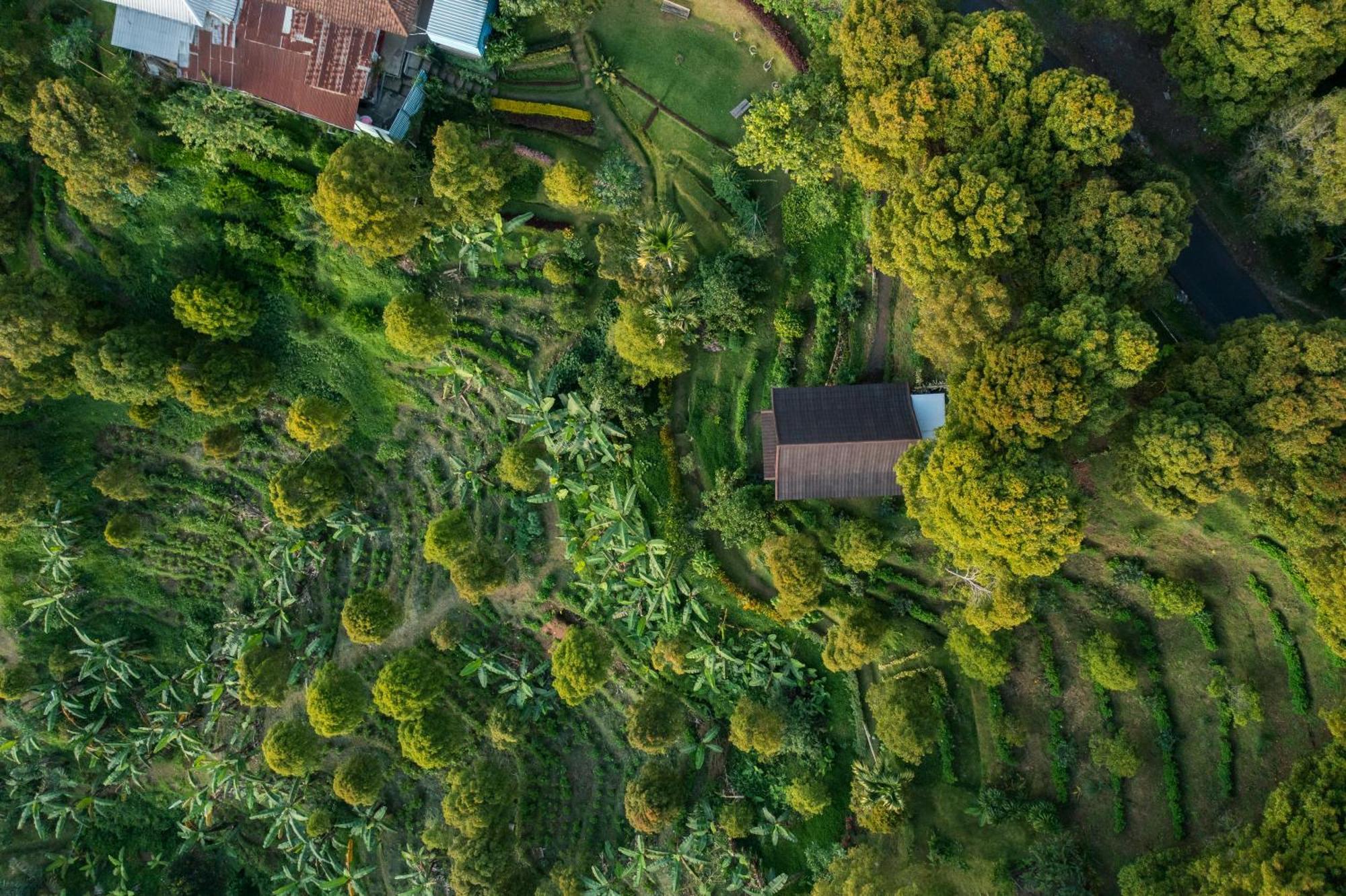 Garden Terrace Bali Panzió Gobleg  Kültér fotó