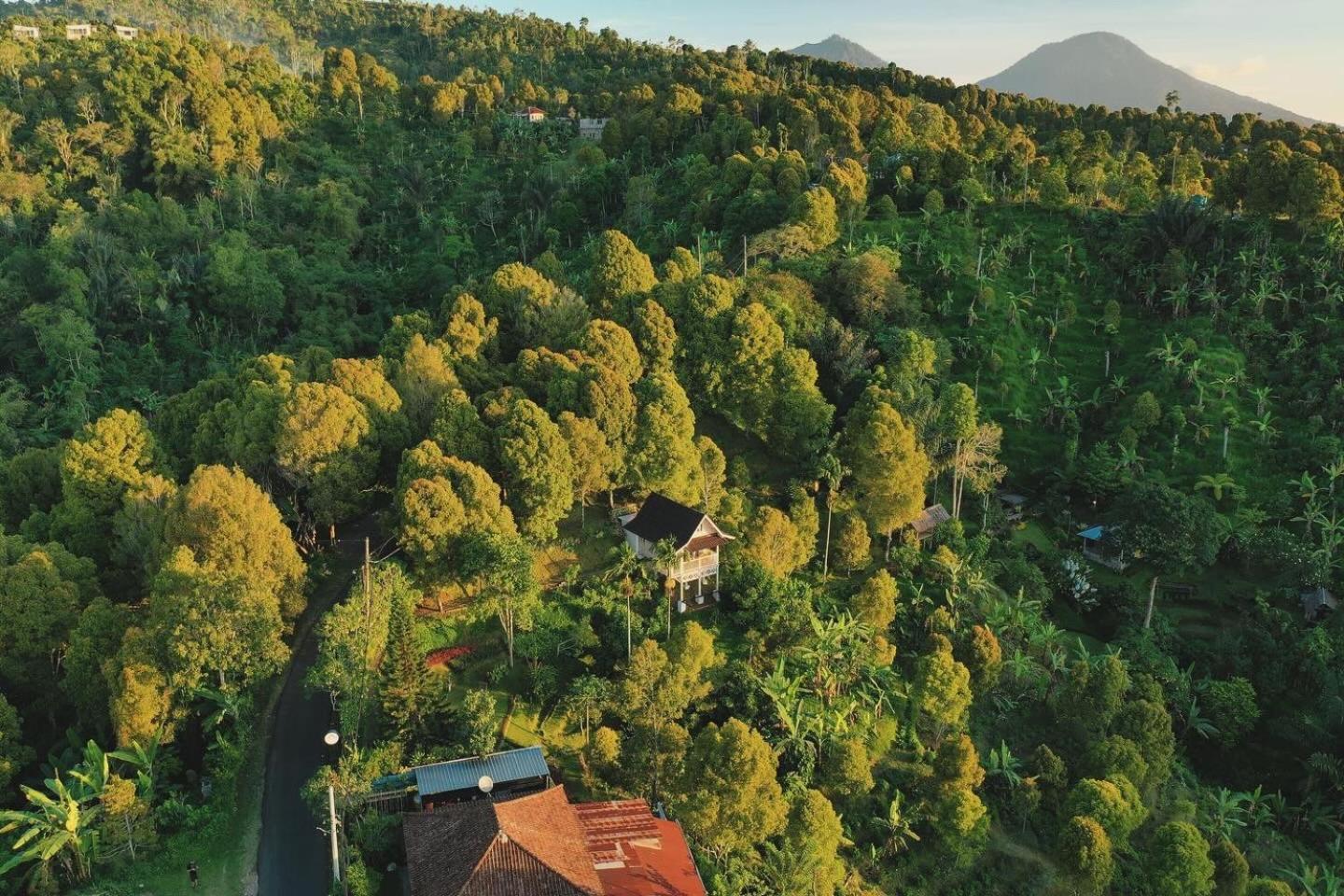 Garden Terrace Bali Panzió Gobleg  Kültér fotó