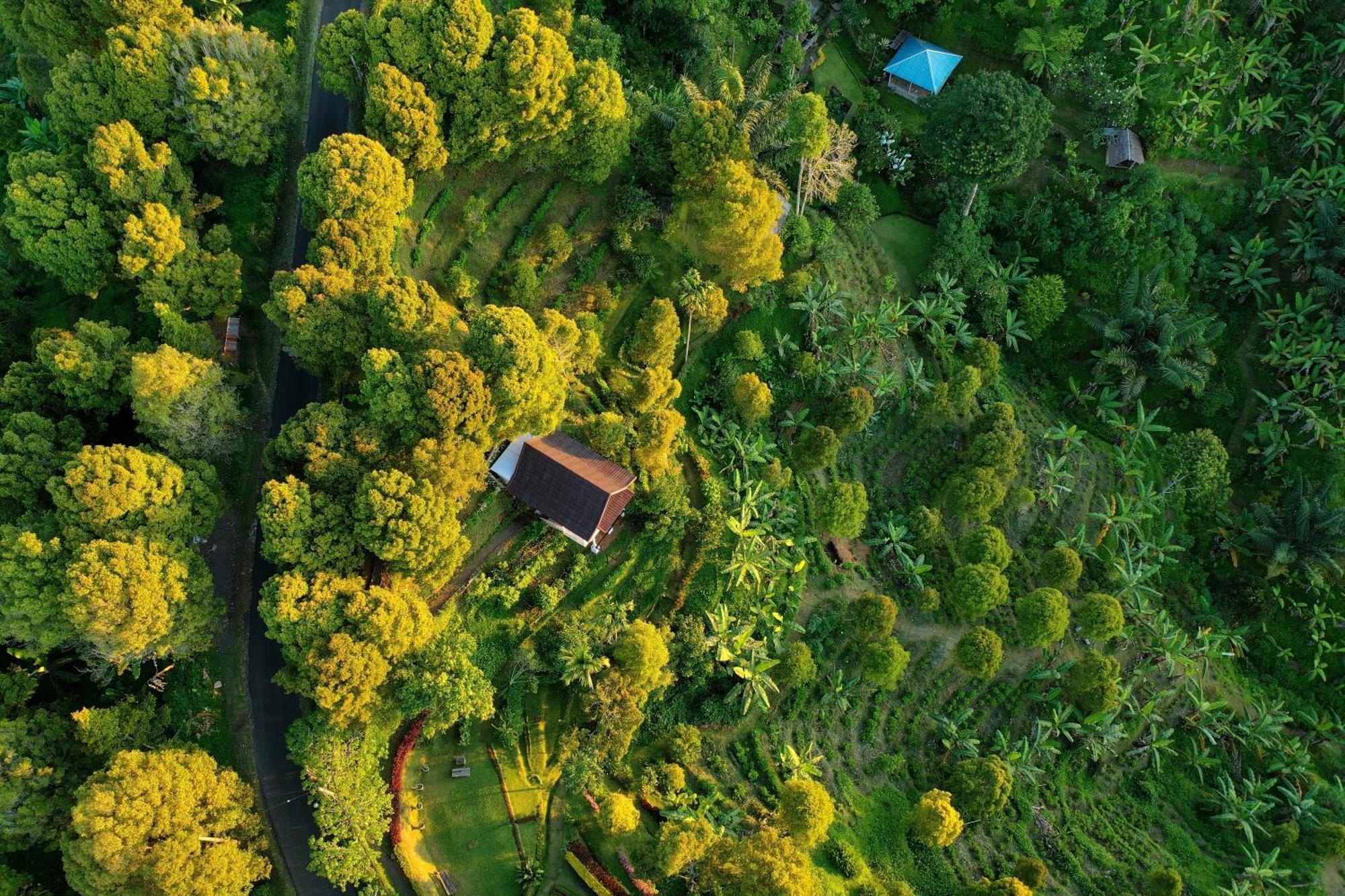 Garden Terrace Bali Panzió Gobleg  Kültér fotó