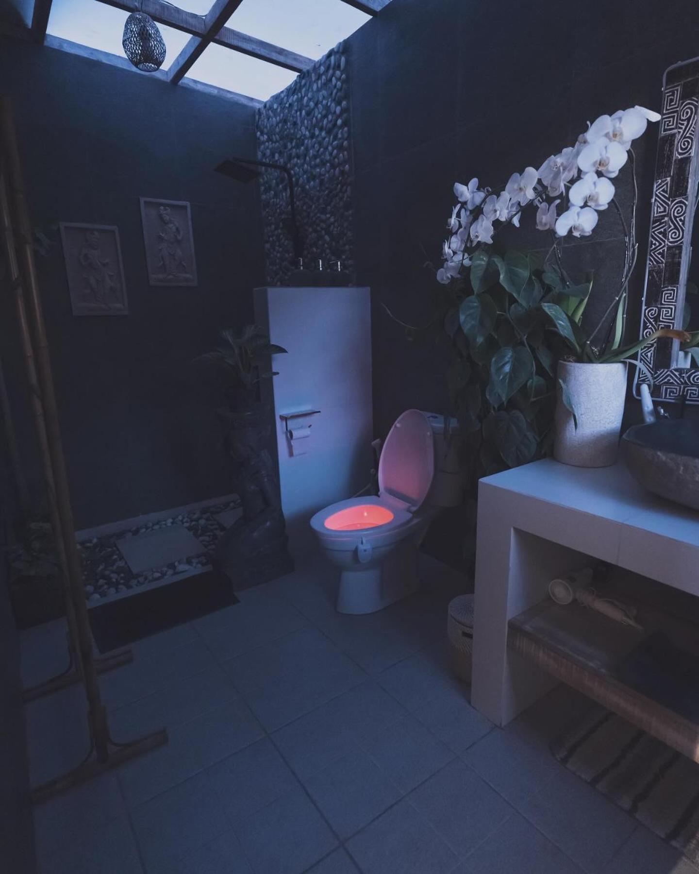 Garden Terrace Bali Panzió Gobleg  Kültér fotó